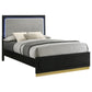 Caraway Wood Queen LED Panel Bed Black