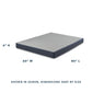 Serta Foundation Full / Low Profile