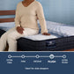 Serta iComfort Mattress Queen / Standard - 12" / Plush