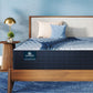 Serta iComfort Mattress Queen / Standard - 13" / Plush