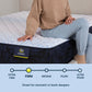 Serta Classic Mattress Queen / Standard / Firm