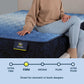 Serta Classic Mattress Queen / Enhanced / Firm