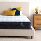 Serta Classic Mattress Full / Standard / Plush Euro Top