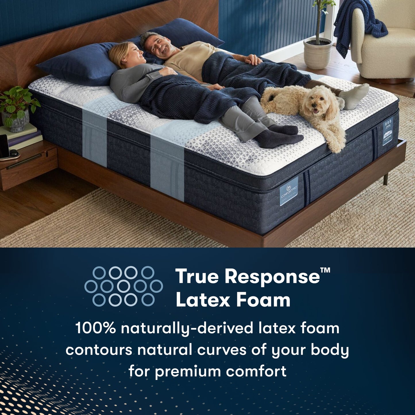 Serta iComfortPro Mattress Queen / Level 1 / Extra Firm