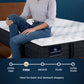 Serta iComfortPro Mattress Queen / Level 2 / Firm