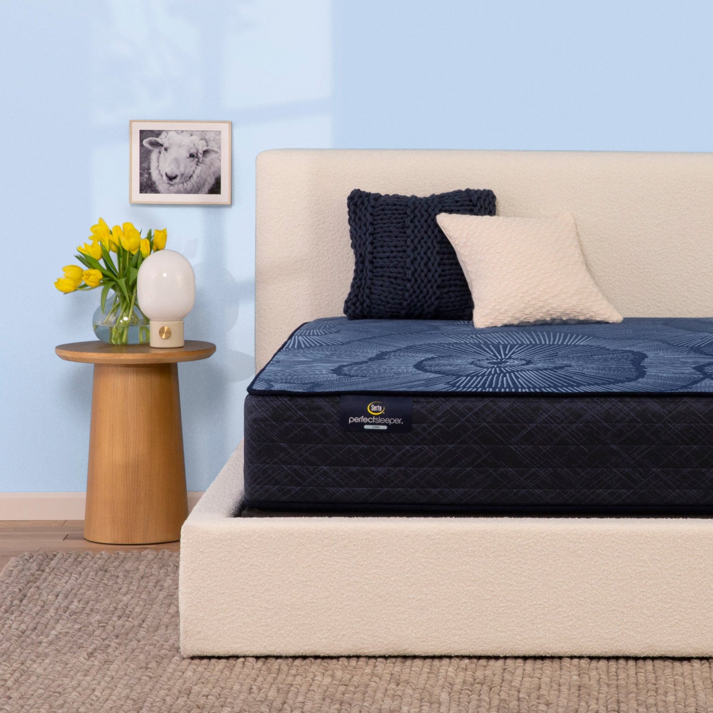 Perfect Sleeper Hybrid Mattress Twin / Standard / Firm