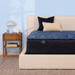 Perfect Sleeper Hybrid Mattress Twin XL / Enhanced / Firm