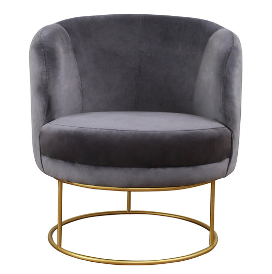 Bella Grey Velvet Chair