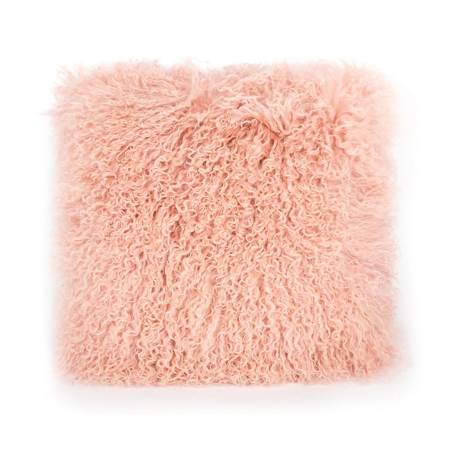 Tibetan Sheep Blush Pillow